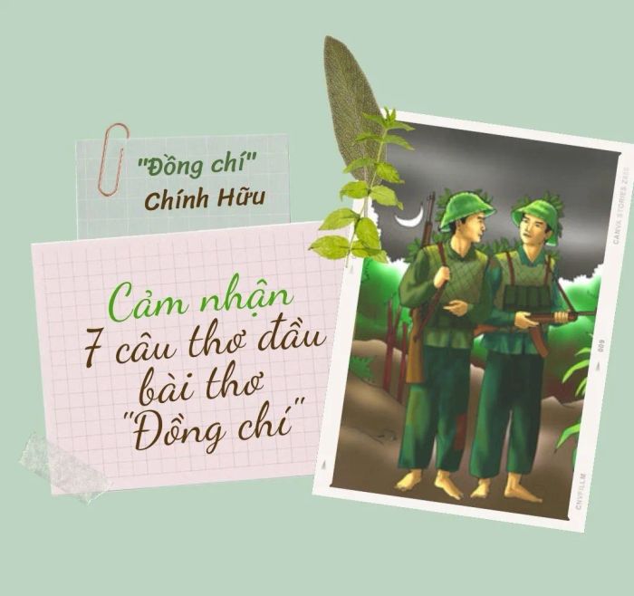 Ảnh minh họa (Nguồn internet) ảnh 1