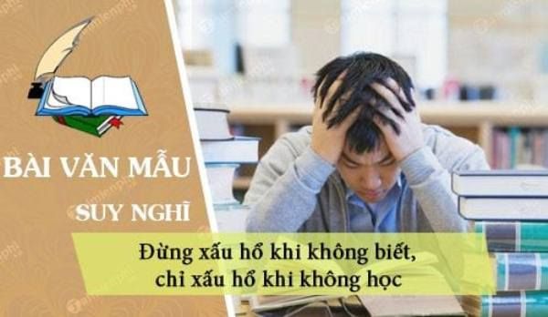 Hình ảnh minh họa sinh động (Nguồn: internet)