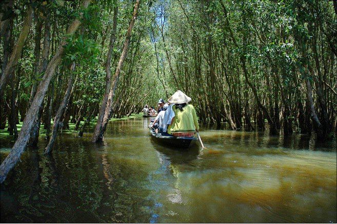 Hình ảnh minh họa sống động (Nguồn: Sưu tầm) - Ảnh 1