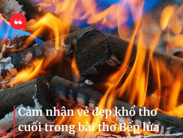 Hình ảnh minh họa số 1 (Nguồn: internet)