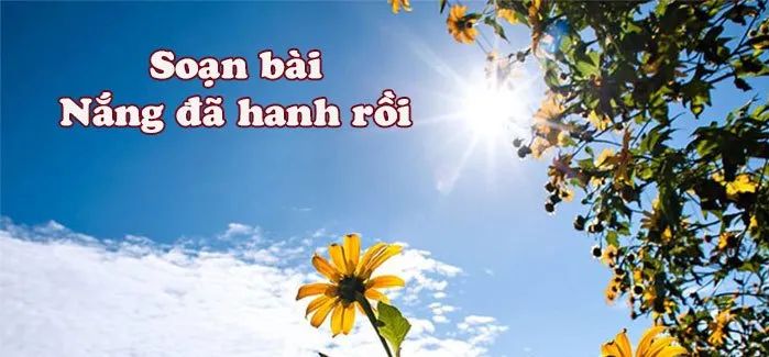 Ảnh minh họa (Nguồn internet) - Ảnh 1