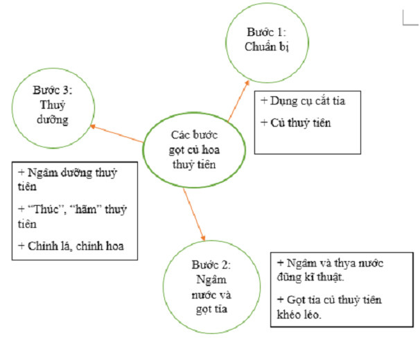 Tranh minh họa số 1: Nghệ thuật gọt tỉa thủy tiên qua góc nhìn nghệ nhân (Nguồn: Internet)