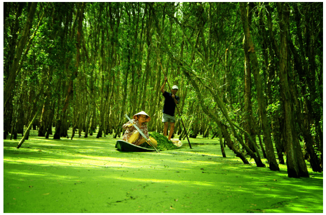 <p><em>Hình minh họa chân thực (Nguồn: Internet)</em></p>