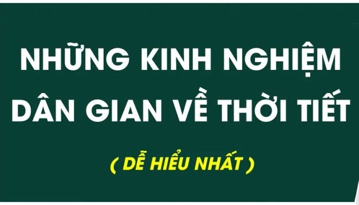 Ảnh minh họa (Nguồn internet) - Một phần không thể thiếu trong việc minh họa cho những kiến thức về thiên nhiên và sự liên kết giữa con người và môi trường.