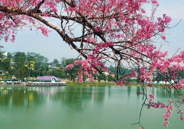 <em>Hình ảnh minh họa sống động (Nguồn: Kho tư liệu đa dạng từ Internet)</em>