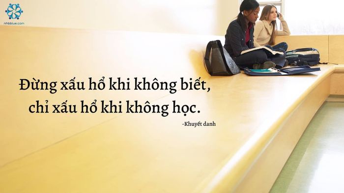 Hình ảnh minh họa sinh động (Nguồn: internet)
