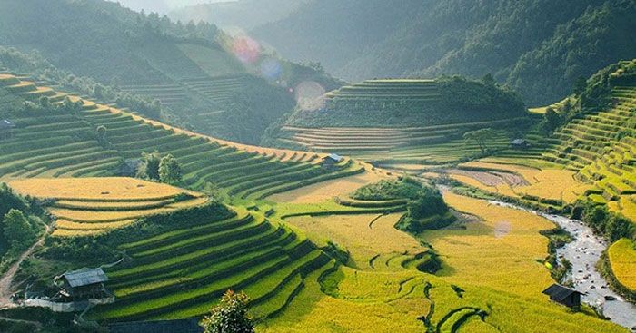 Hình ảnh minh họa sống động (Nguồn: Internet)