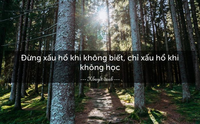 Hình ảnh minh họa sinh động (Nguồn: internet)