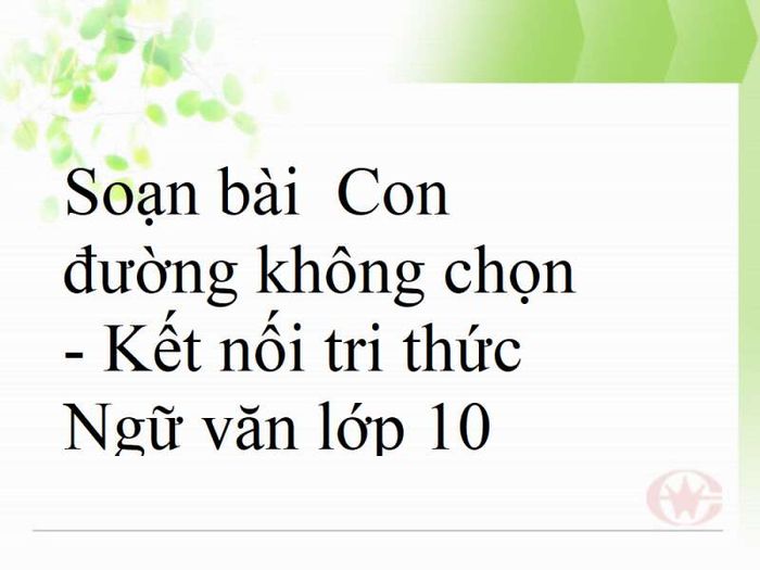 Hình ảnh minh họa sống động (Nguồn: Internet) - Ảnh 1