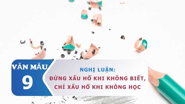 Hình ảnh minh họa sinh động (Nguồn: internet)
