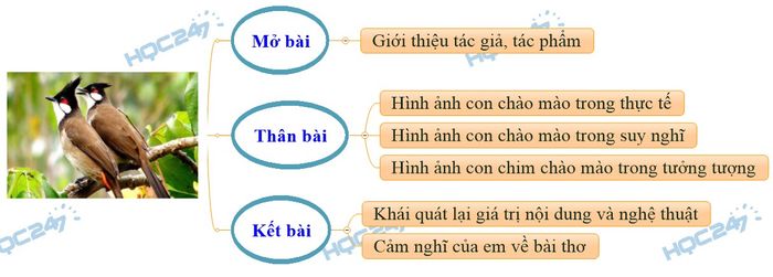 Hình ảnh minh họa sống động (Nguồn: internet)