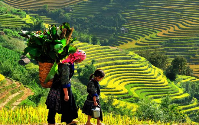 Hình ảnh minh họa 2: Vẻ đẹp thơ mộng của Sa Pa qua ngòi bút Nguyễn Thành Long (Nguồn: Tư liệu nghệ thuật)