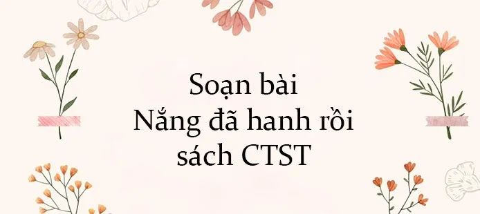 Ảnh minh họa (Nguồn internet) - Ảnh 1