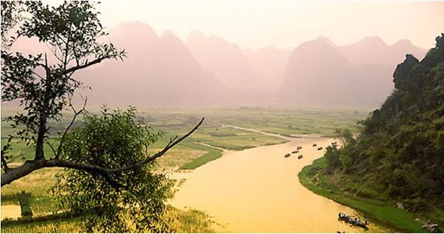 Hình ảnh minh họa (Nguồn: internet) - Hình ảnh 1