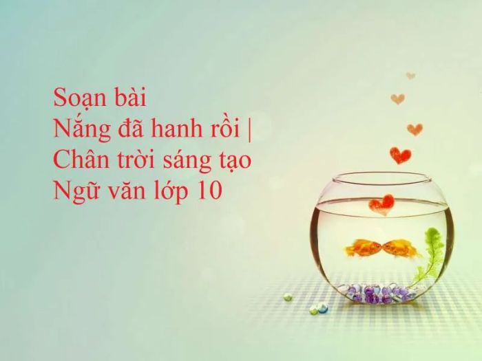 Ảnh minh họa (Nguồn internet) - Ảnh 1