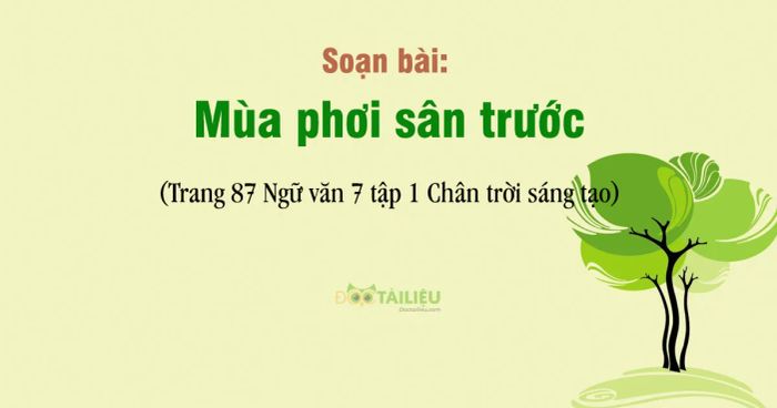 Hình ảnh minh họa chân thực (Nguồn: internet)