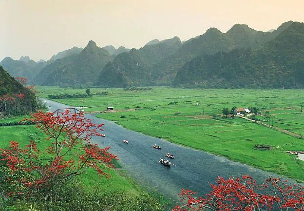 Ảnh minh họa (Nguồn từ internet) - Hình ảnh minh họa 1