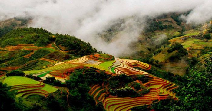 Hình ảnh minh họa đầy cảm xúc (Nguồn: internet)