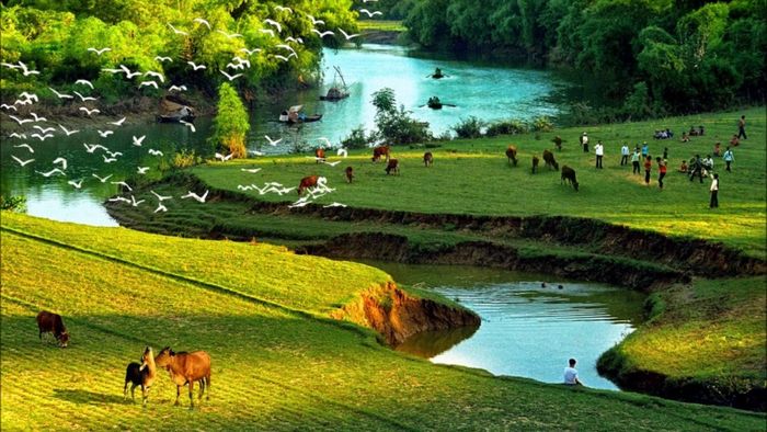 Hình ảnh minh họa sinh động (Nguồn tham khảo: Internet)