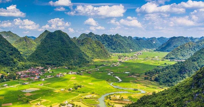 Hình ảnh minh họa sinh động (Nguồn tham khảo: Internet)