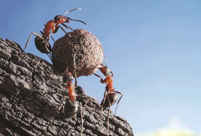 Hình ảnh minh họa sống động - Nguồn tư liệu đa dạng từ internet