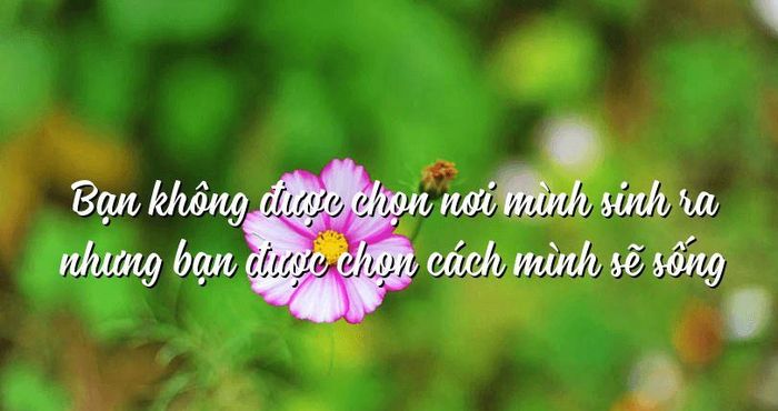 Hình ảnh minh họa ý nghĩa (Nguồn: internet) - ảnh 1