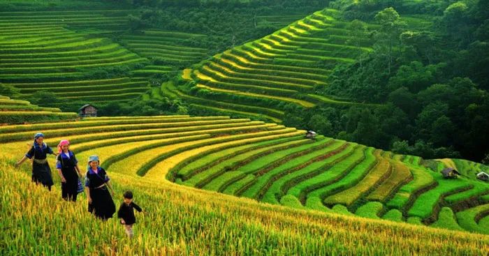 Hình ảnh minh họa tác phẩm (Nguồn: Internet)