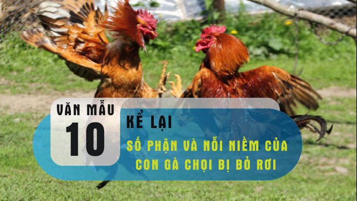 Ảnh minh họa (Nguồn từ internet) - Hình 1