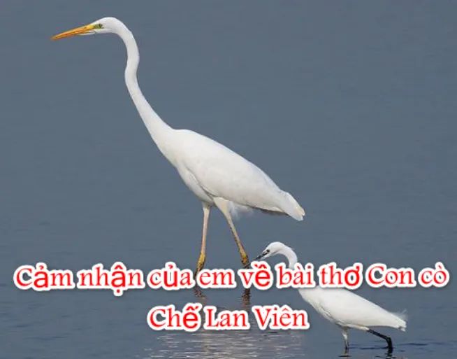 Hình ảnh minh họa sống động (Nguồn: Sưu tầm)