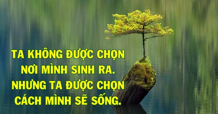 Hình ảnh minh hướng về sự lựa chọn cuộc sống (Nguồn: internet)
