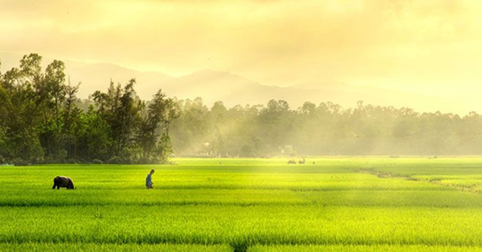 Bộ sưu tập ảnh minh họa chân thực (Nguồn: Tư liệu nhiếp ảnh đương đại)
