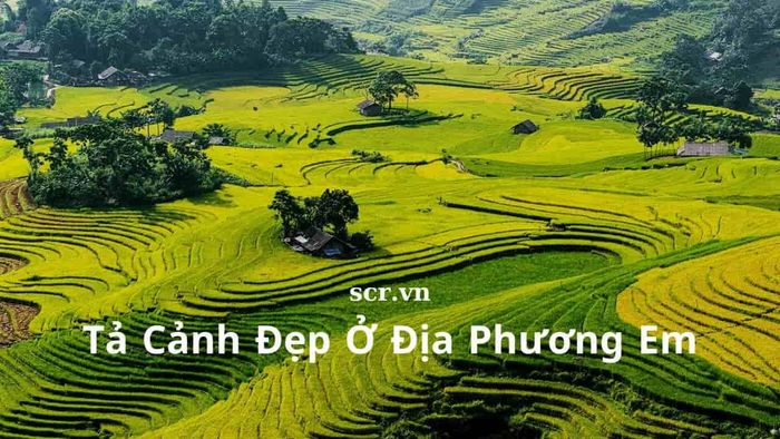 Bộ sưu tập ảnh minh họa đặc sắc (Nguồn: Tư liệu nhiếp ảnh Việt Nam)