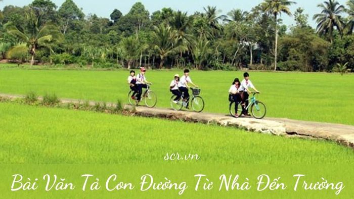 Bộ sưu tập ảnh minh họa chân thực (Nguồn: Tư liệu nhiếp ảnh Việt Nam)