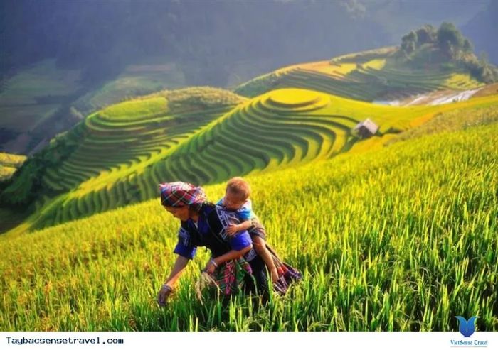 Hình ảnh minh họa tác phẩm (Nguồn: Internet)