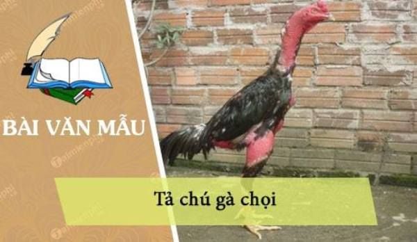 Hình ảnh minh họa sống động về thế giới gà chọi đầy màu sắc (Nguồn: Internet)