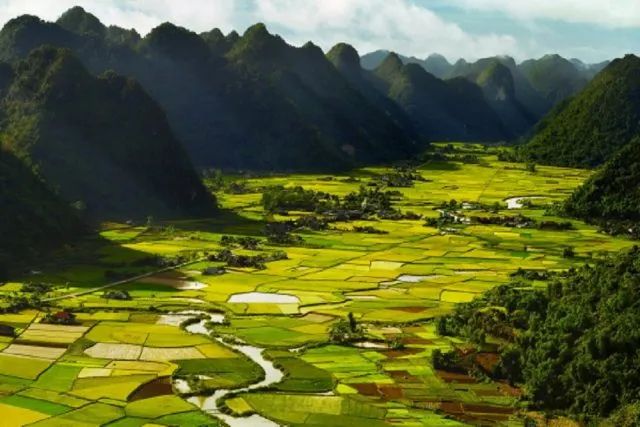 Hình ảnh minh họa đặc sắc (Nguồn: internet)