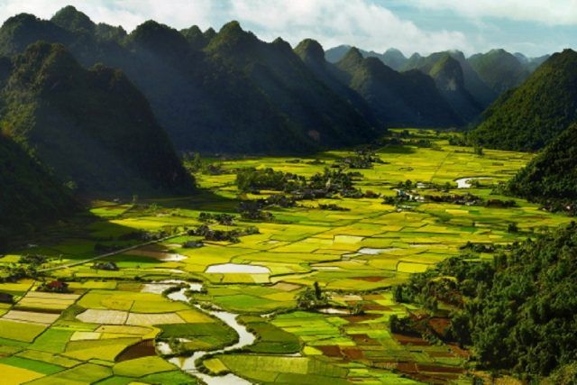 Hình ảnh minh họa đặc sắc (Nguồn: Tư liệu nghệ thuật)