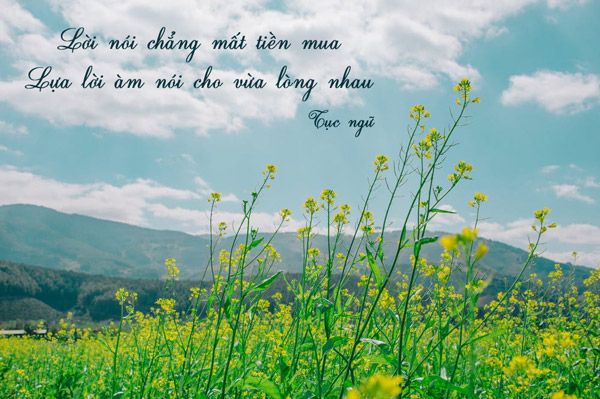 Hình ảnh minh họa nghệ thuật giao tiếp tinh tế (Nguồn: Internet)