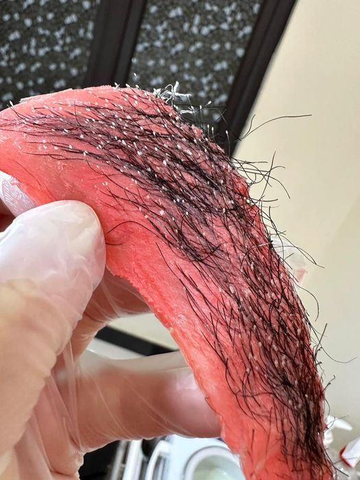 Hình ảnh dịch vụ wax lông chuyên nghiệp tại Quế Chi