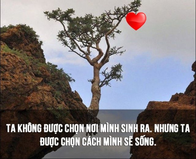 Hình ảnh minh họa về sự lựa chọn cuộc sống (Nguồn: internet)