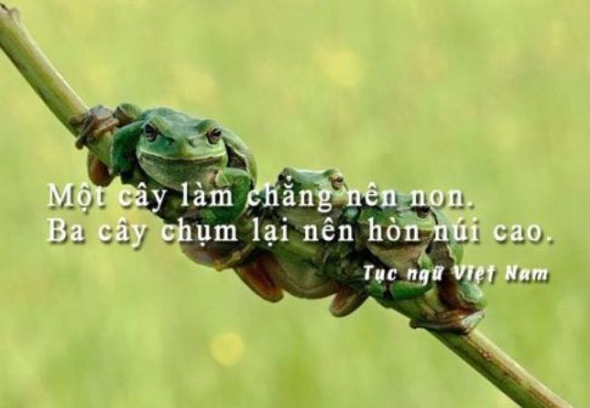 Hình ảnh minh họa số 1 - Nguồn tư liệu đa dạng từ internet