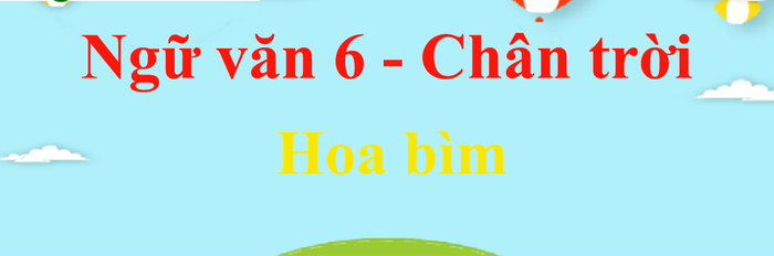 Hình ảnh minh họa đặc sắc (Nguồn: internet)
