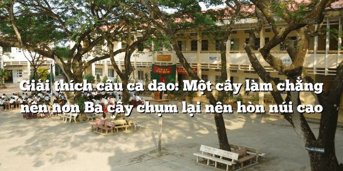 Hình ảnh minh họa số 1 - Tư liệu quý từ kho tàng internet
