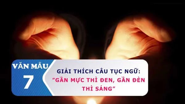 Môi trường sống có ảnh hưởng sâu sắc đến cuộc đời mỗi người. Chúng ta không thể sống tách biệt khỏi xã hội, và như một loài sinh vật sống trong hệ sinh thái, con người cần một cộng đồng để tồn tại và phát triển. Môi trường sống quyết định nhiều đến bản chất và hành động của mỗi cá nhân. Câu tục ngữ 'Gần mực thì đen, gần đèn thì sáng' nhắc nhở chúng ta phải biết chọn lựa môi trường sống và bạn bè, bởi nếu sống trong môi trường xấu, chúng ta dễ dàng bị ảnh hưởng tiêu cực. Ngược lại, sống trong môi trường tốt sẽ giúp ta phát triển một cách toàn diện.