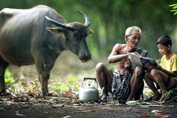 Hình ảnh minh họa sinh động (Nguồn: internet) ảnh 1