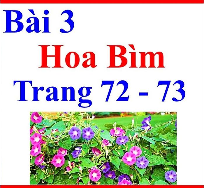 Hình ảnh minh họa sinh động (Nguồn: internet)