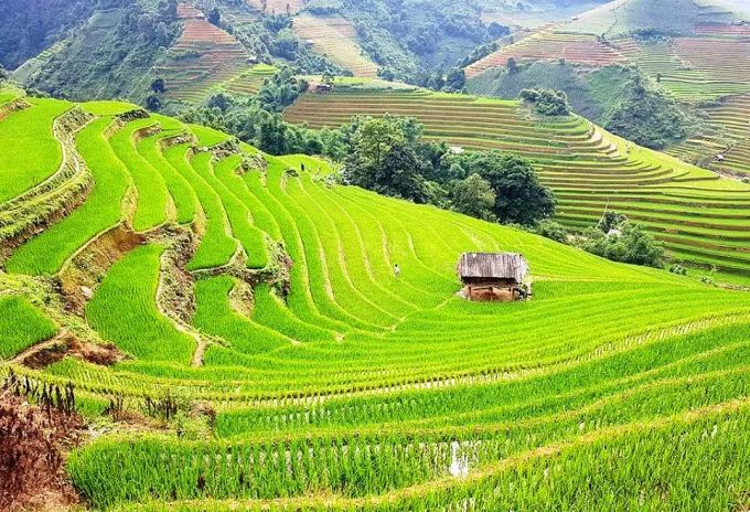Hình ảnh minh họa tác phẩm (Nguồn: Internet)