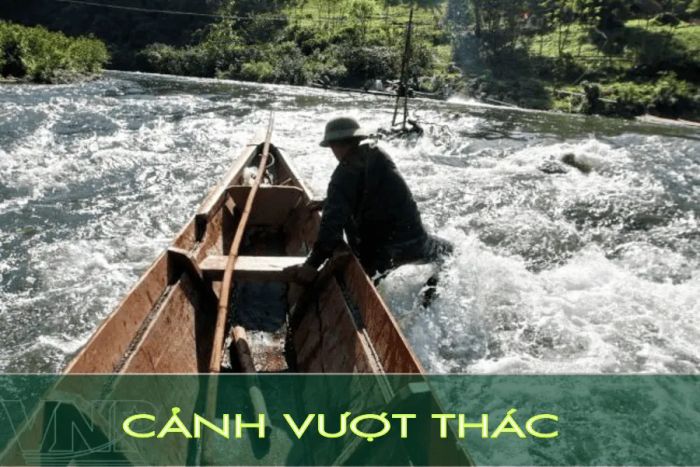 Hình ảnh minh họa sống động (Nguồn: Sưu tầm internet) - Ảnh 1