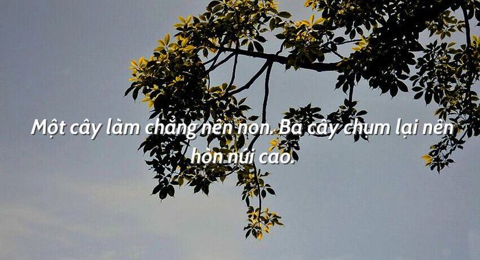 Hình ảnh minh họa sinh động - Nguồn tư liệu đa dạng từ internet