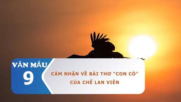 Hình minh họa đầy cảm xúc (Nguồn: Internet)